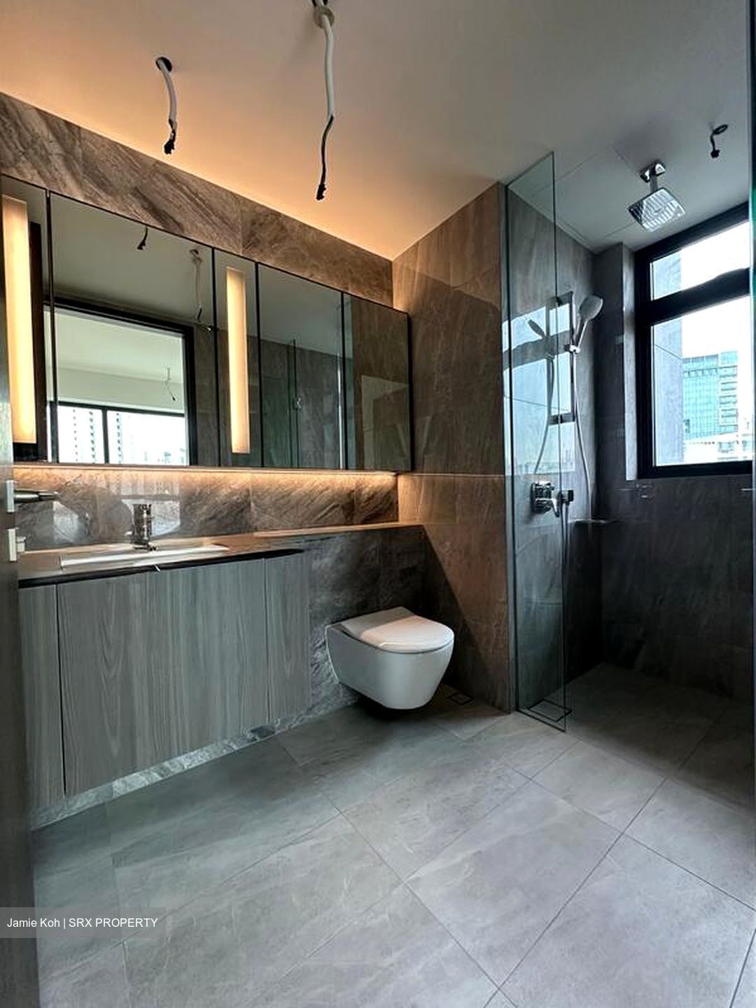 Piccadilly Grand (D8), Apartment #500686641